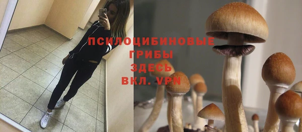 бутират Костерёво