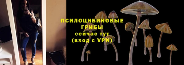 дживик Коряжма