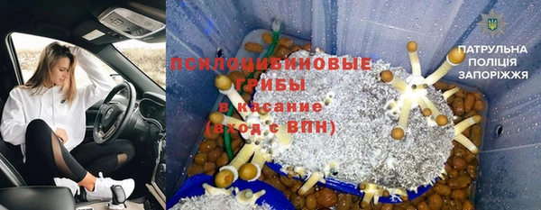 дживик Коряжма